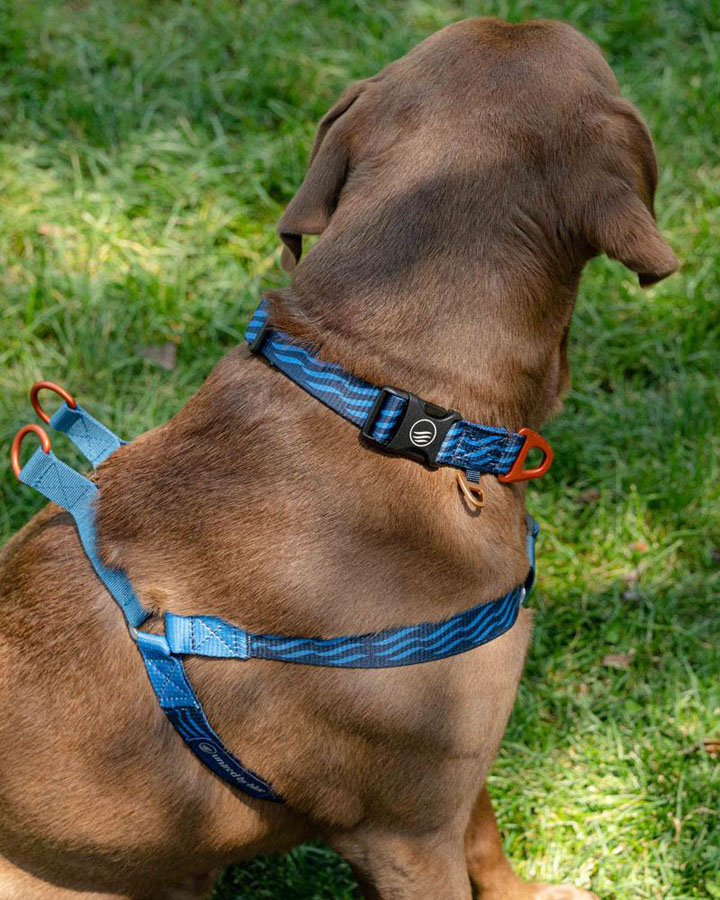 United By Blue Woven Dog Harness Adjustable Pet Harness
