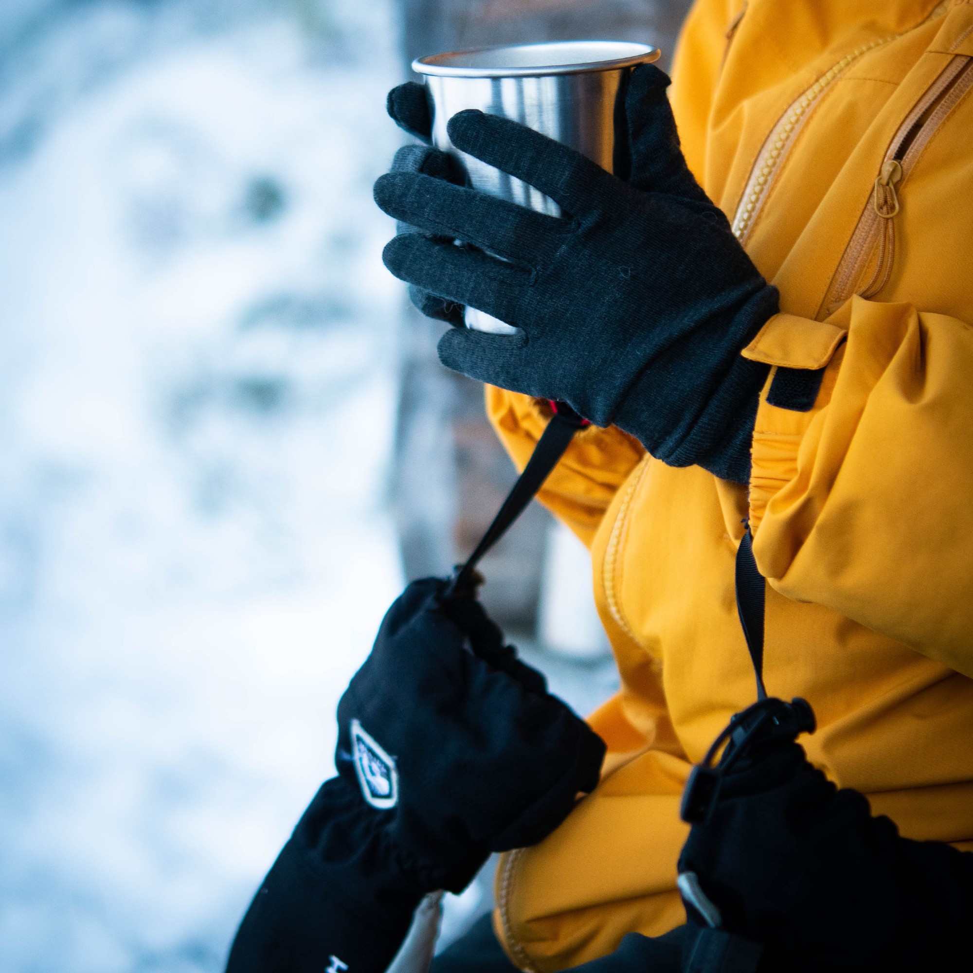 Hestra Merino Wool Ski/Snowboard Liner Gloves