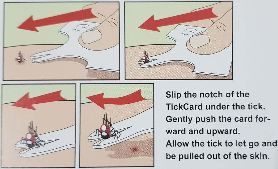 Lifesystems Tick Remover Card Pocket Insect Removal