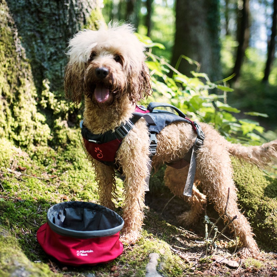 Mountain Paws Dog Water Bowl Travel Pet Bowl