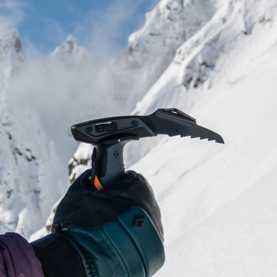 Black Diamond Alpine Whippet Attachment  Ski Touring Accessory