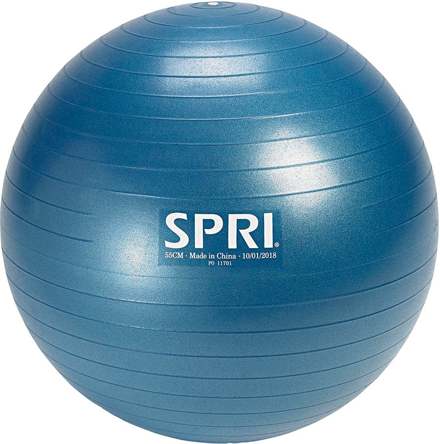 SPRI Performance Small Anti-Burst Balance Ball