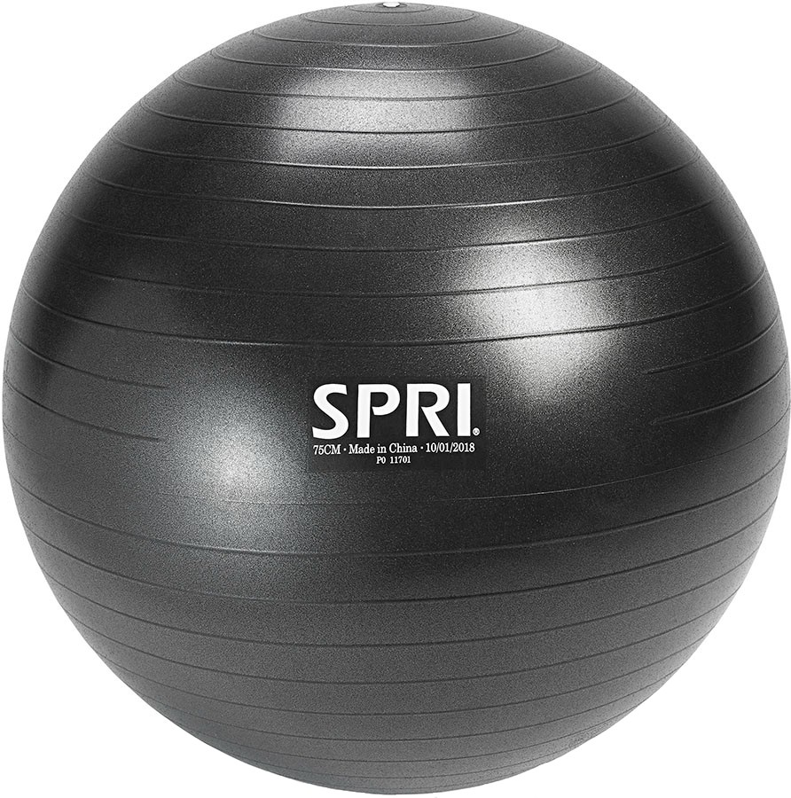 SPRI Performance Large Anti-Burst Balance Ball