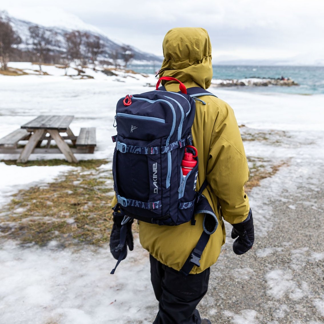 Dakine Team Mission Pro 32 Ski/Snowboard Backpack