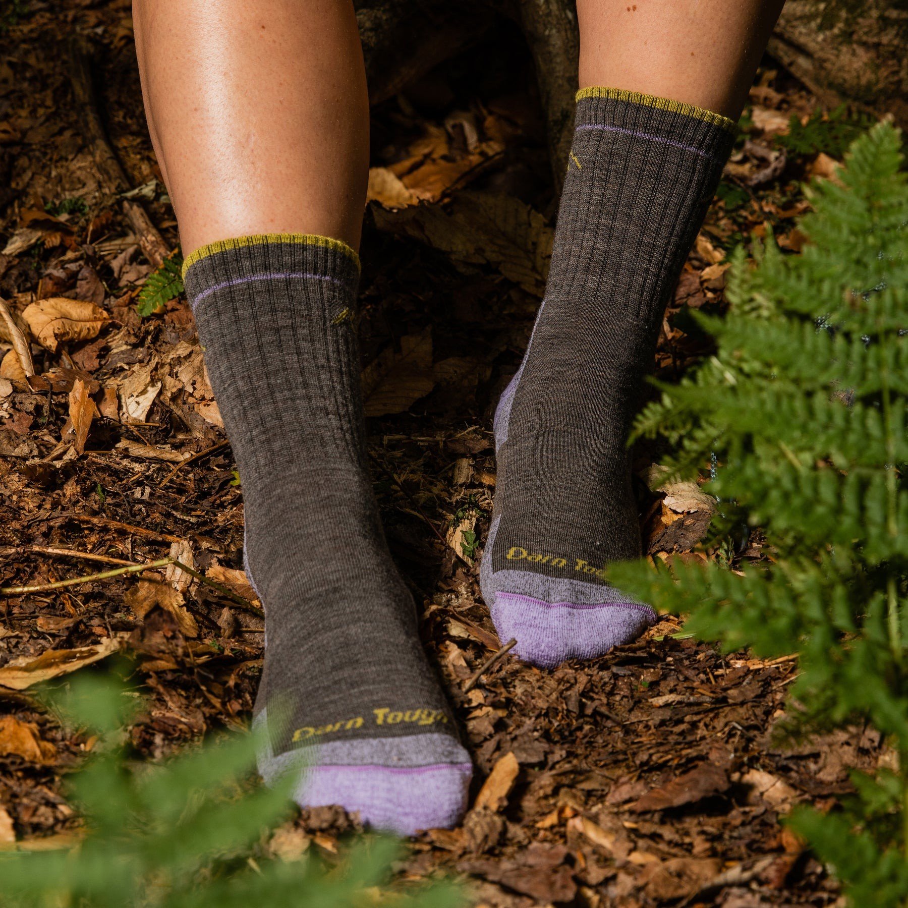 Darn Tough Mid Hiker Micro Crew Cushion Women's Hiking Socks